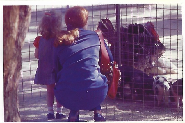 At the petting zoo 2